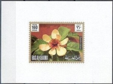Souvenir Sheet, Magnolia tripetala, Ras al Khaimah,  , Flowers, Plants (Flora)