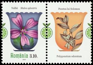Stamp with Attached Label, Common Mallow (Malva sylvestris), Romania,  , Flowers, Plants (Flora)