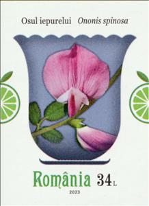 Stamp, Spiny Restharrow (Ononis spinosa), Romania,  , Flowers, Plants (Flora)