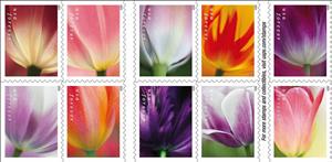 Se-tenant, Tulip Blossoms, United States of America,  , Flowers, Plants (Flora), Tulips
