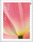 Stamp, Tulip Blossoms, United States of America,  , Flowers, Plants (Flora), Tulips
