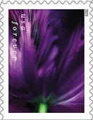 Stamp, Tulip Blossoms, United States of America,  , Flowers, Plants (Flora), Tulips