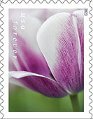 Stamp, Tulip Blossoms, United States of America,  , Flowers, Plants (Flora), Tulips