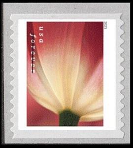 Stamp, Tulip Blossoms, United States of America,  , Flowers, Plants (Flora), Tulips
