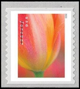 Stamp, Tulip Blossoms, United States of America,  , Flowers, Plants (Flora), Tulips