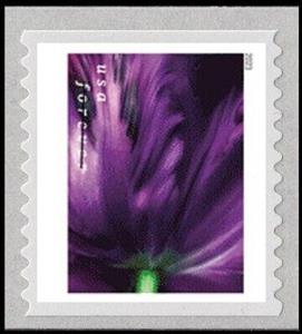 Stamp, Tulip Blossoms, United States of America,  , Flowers, Plants (Flora), Tulips