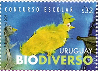 Student Design Contest : Biodiversity