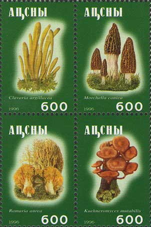Mushrooms