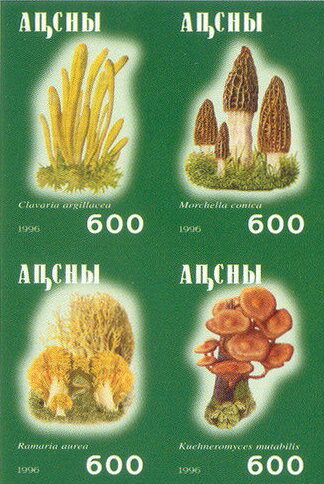 Mushrooms