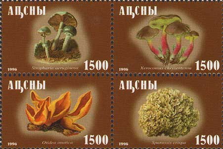 Mushrooms