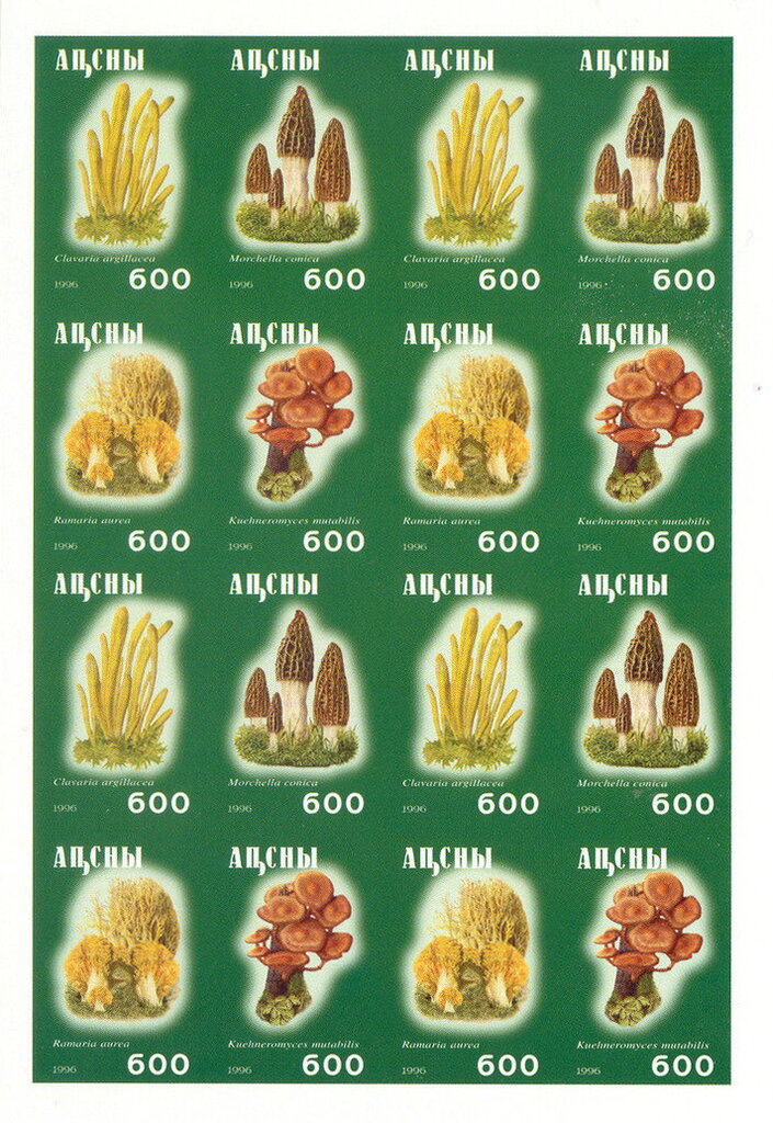 Mushrooms