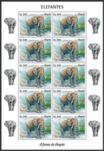 Full Pane, African Elephant (Loxodonta africana), Angola,  , Animals (Fauna), Elephants, Mammals