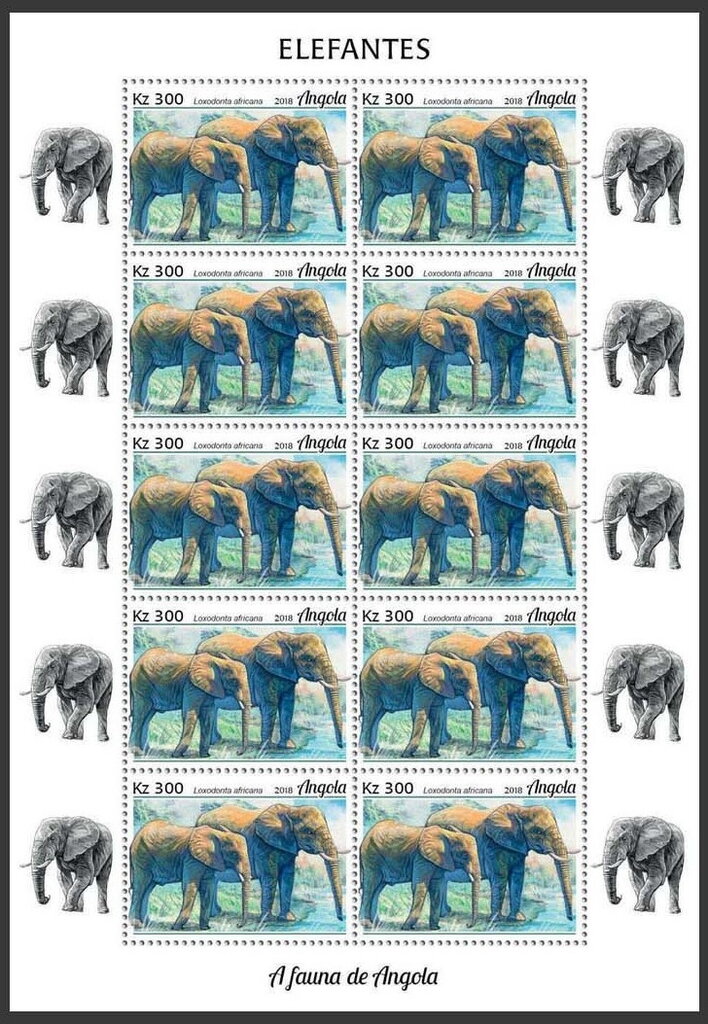 African Elephant (Loxodonta africana)