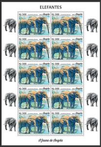 Full Pane, African Elephant (Loxodonta africana), Angola,  , Animals (Fauna), Elephants, Mammals