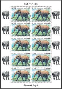 Full Pane, African Elephant (Loxodonta africana), Angola,  , Animals (Fauna), Elephants, Mammals