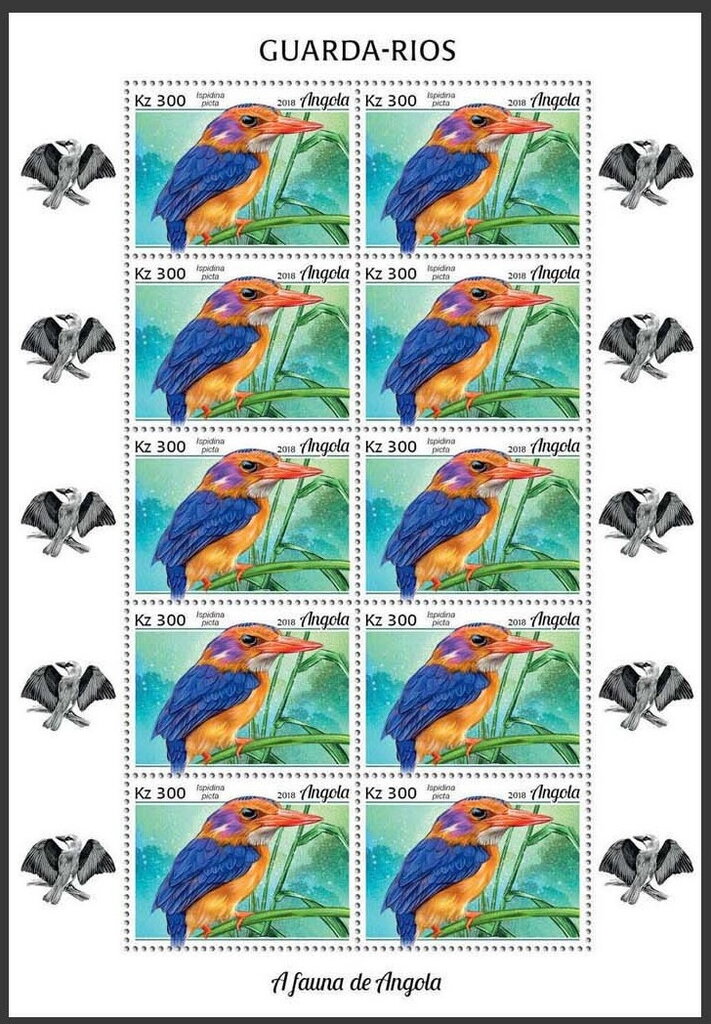 African Pygmy Kingfisher (Ispidina picta)