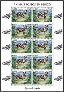 Full Pane, African Wild Dog (Lycaon pictus), Angola,  , Animals (Fauna), Dogs, Mammals
