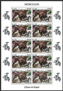 Full Pane, Angolan Free-tailed Bat (Mops condylurus), Angola,  , Animals (Fauna), Bats, Mammals