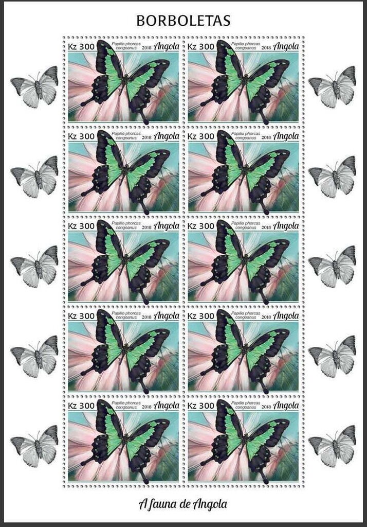 Apple Green Swallowtail (Papilio phorcas congoanus)