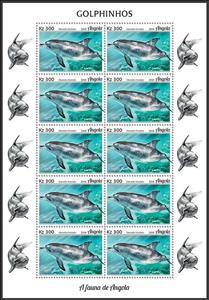 Full Pane, Atlantic Spotted Dolphin (Stenella frontalis), Angola,  , Animals (Fauna), Dolphins, Sea (Marine) Mammals, Sea Life
