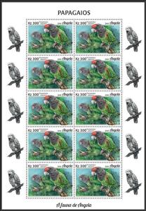 Full Pane, Brown-necked Parrot (Poicephalus robustus), Angola,  , Animals (Fauna), Birds, Parrots