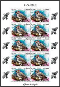Full Pane, Cardinal Woodpecker (Dendropicos fuscescens), Angola,  , Animals (Fauna), Birds, Woodpeckers