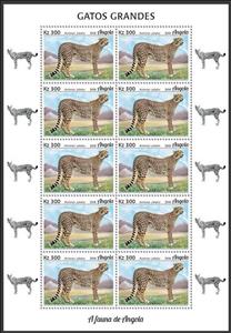 Full Pane, Cheetah (Acinonix jubatus), Angola,  , Animals (Fauna), Cheetahs, Mammals