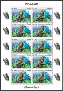 Full Pane, Elliot's Woodpecker (Dendropicos elliotii), Angola,  , Animals (Fauna), Birds, Woodpeckers