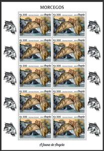 Full Pane, Franquet's Epauletted Fruit Bat (Epomops franqueti), Angola,  , Animals (Fauna), Bats, Mammals