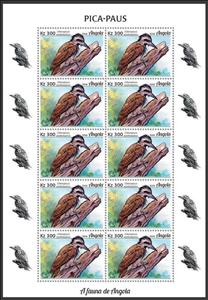 Full Pane, Golden-crowned Woodpecker (Chloropicus xantholophus), Angola,  , Animals (Fauna), Birds, Woodpeckers
