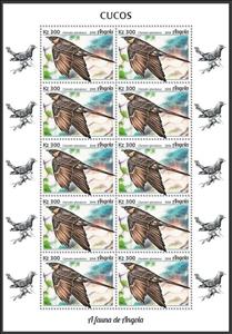 Full Pane, Great Spotted Cuckoo (Clamator glandarius), Angola,  , Animals (Fauna), Birds