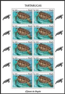 Full Pane, Hawksbill Sea Turtle (Eretmochelys imbricata), Angola,  , Animals (Fauna), Reptiles, Sea Life, Turtles