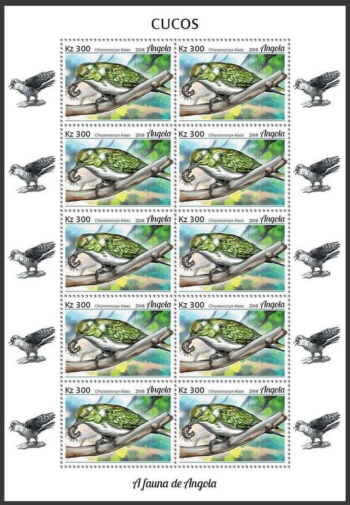Klaas's Cuckoo (Chrysococcyx klaas)