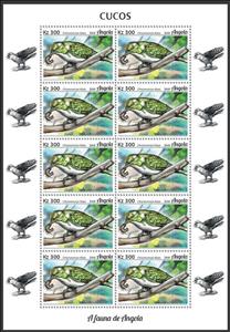 Full Pane, Klaas's Cuckoo (Chrysococcyx klaas), Angola,  , Animals (Fauna), Birds