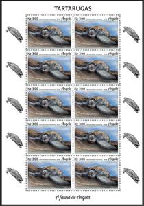 Full Pane, Leatherback Sea Turtle (Dermochelys coriacea), Angola,  , Animals (Fauna), Reptiles, Sea Life, Turtles