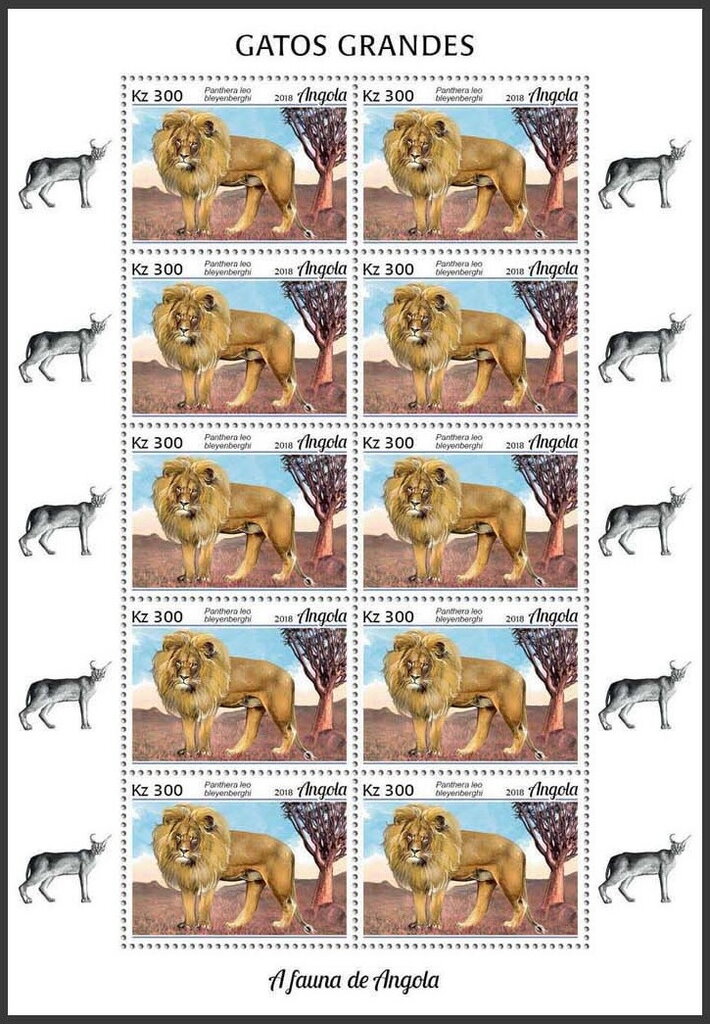 Lion (Panthera leo bleyenberghi)