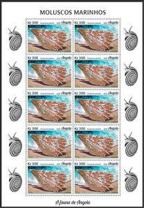 Full Pane, Marginella glabella, Angola,  , Animals (Fauna), Molluscs, Sea Life, Shells