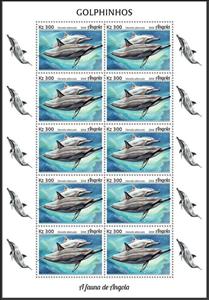 Full Pane, Pantropical Spotted Dolphin (Stenella attenuata), Angola,  , Animals (Fauna), Dolphins, Sea (Marine) Mammals, Sea Life