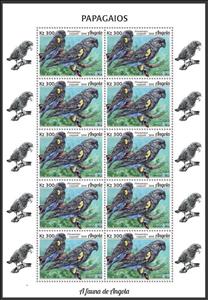 Full Pane, Rüppell's Parrot (Poicephalus rueppellii), Angola,  , Animals (Fauna), Birds, Parrots