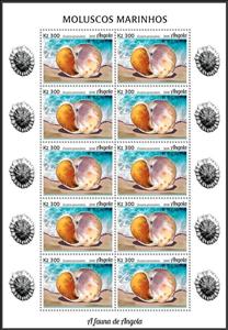 Full Pane, Senegal moon snail (Euspira grossularia), Angola,  , Animals (Fauna), Molluscs, Sea Life, Shells