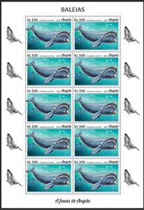 Full Pane, Southern Right Whale (Eubalaena australis), Angola,  , Animals (Fauna), Sea (Marine) Mammals, Sea Life, Whales