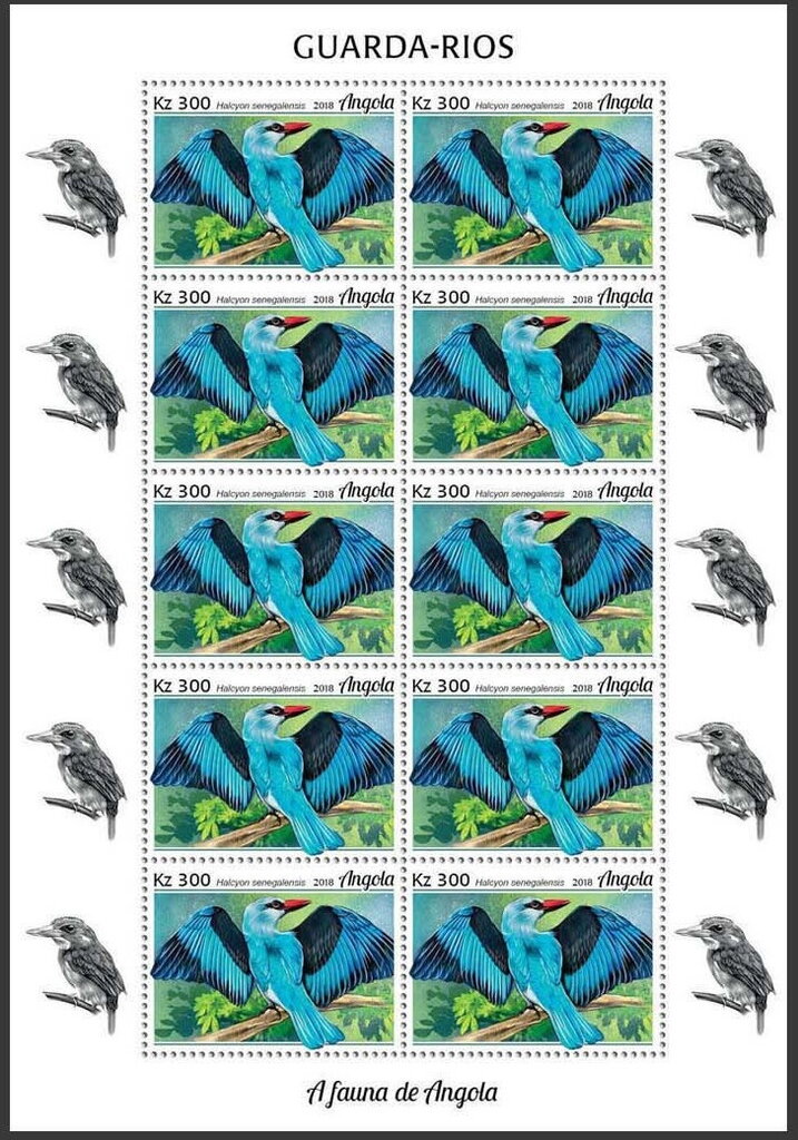 Woodland Kingfisher (Halcyon senegalensis)