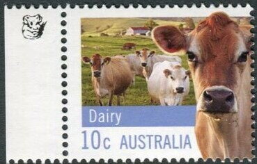 Jersey Cattle 1st printng - 1 Koala