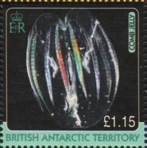 Stamp, Comb Jelly, British Antarctic Territory (BAT),  , Animals (Fauna), Jellyfish, Sea Life