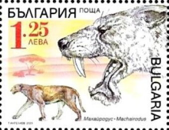 Machairodus