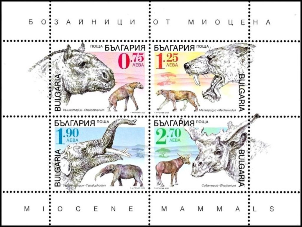 Miocene Fauna from Bulgaria