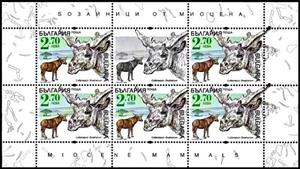 Full Pane, Sivatherium, Bulgaria,  , Animals (Fauna), Prehistorical Animals