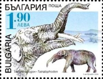 Tetralophodon