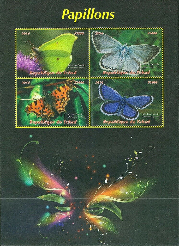 Butterflies