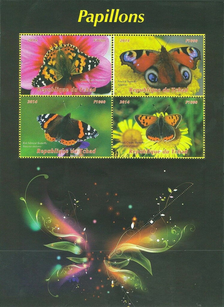 Butterflies
